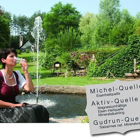 Drei Quellen Kipper Отель 3*