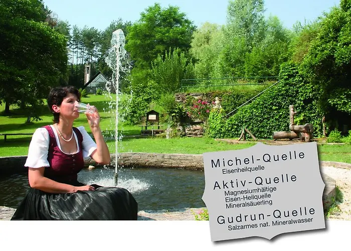 Drei Quellen Kipper Отель 3*